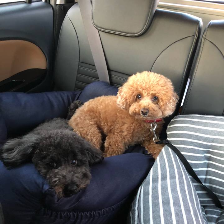 30eff255 9d82 4d4e 9010 8bfb7b1f3fb9 1578392992851