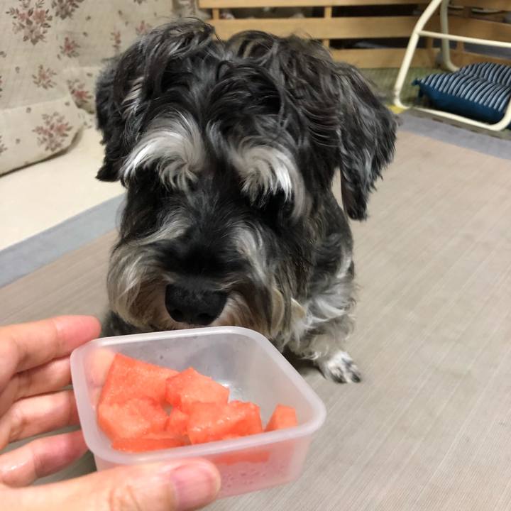 30f0343a c796 406e bba1 eefb3a51311d 1629175867167