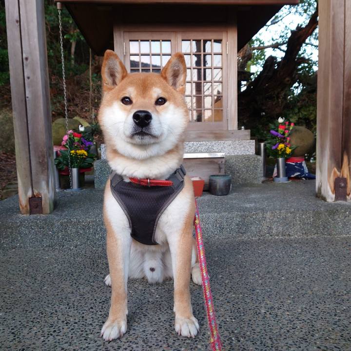 30f05887 c4e2 43e3 9964 c0cb43ce2292 1772335478553