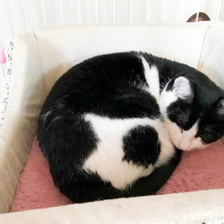 30f05979 7dac 419e ab0f eb17de810a46 1516497492669