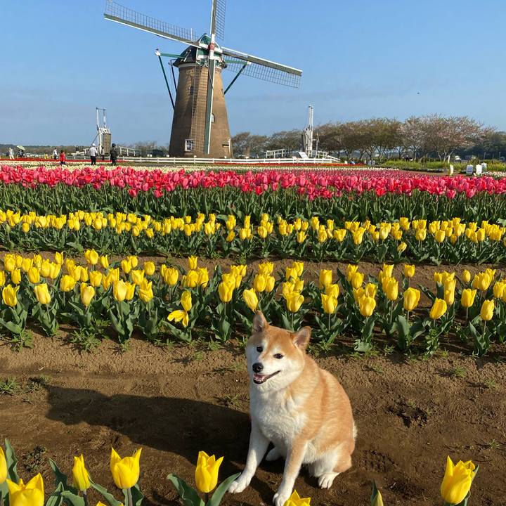 30f0647c c373 4b38 907a 8189cc832272 1617430657819