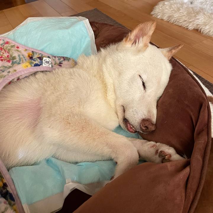 30f0656d 4cec 42e4 a1ba beb3932071d7 1668476615008