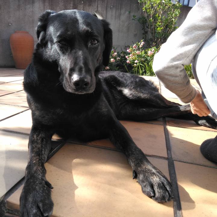 30f06987 0bbb 4f5d a3fe 55ead12e2c30 1584747486851