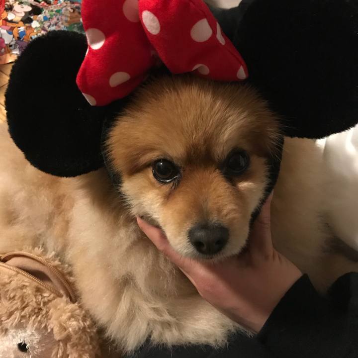 30f06bb3 b32a 4f53 bec9 8197adddde72 1521122381188