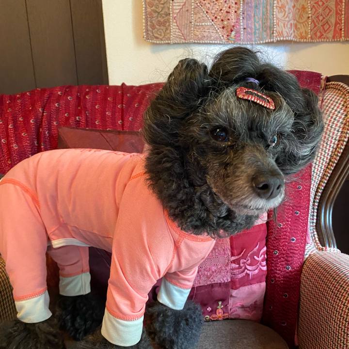 30f086d6 85e8 42a0 9b3e 6e2cf156efbc 1695613702218