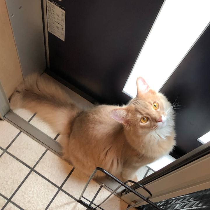 30f08a69 b95d 4619 8459 95665bac6394 1562379787884