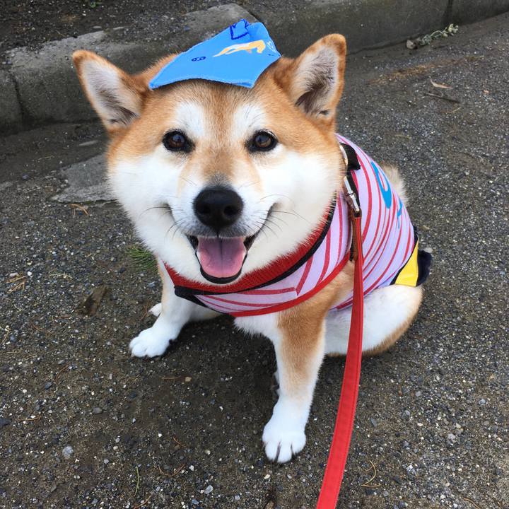 30f0b607 fce2 4e15 ab07 53d600654570 1593654372115