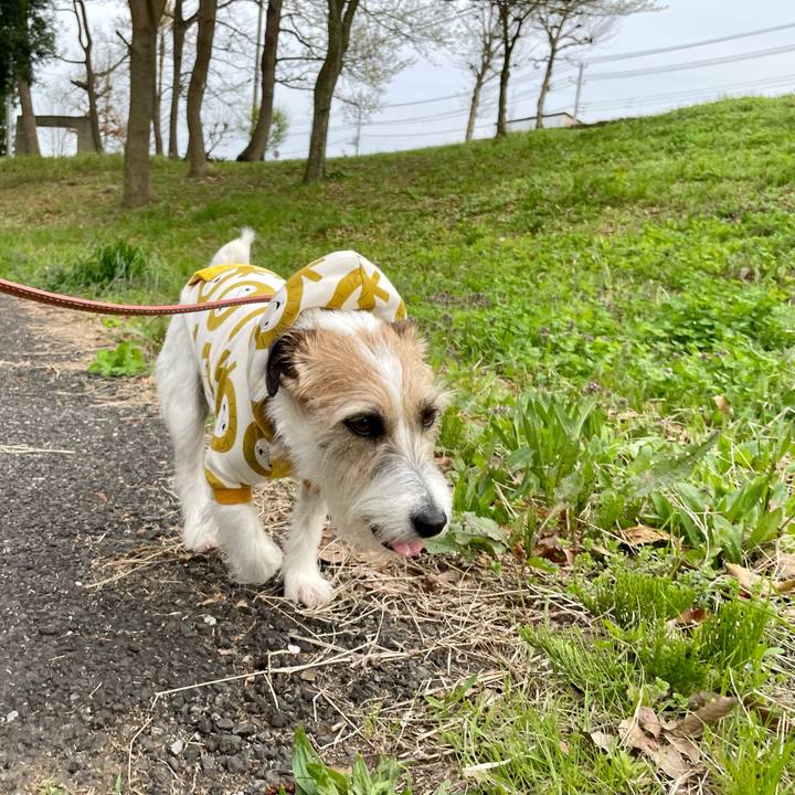 30f0e212 826a 4762 854c a598af4ce16a 1680268052279