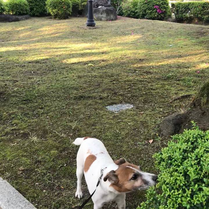 30f11a00 b0b6 4b6e 9ae2 95ee323e3fbb 1525355021297