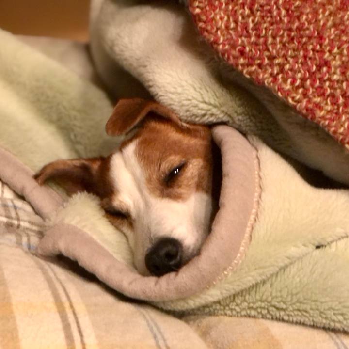 30f120e8 f604 4c45 ad73 963eac2ea92a 1738576338735