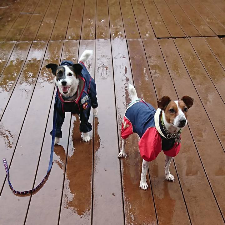 30f14984 ef09 4097 ae97 562f3d2d7b11 1594958070243