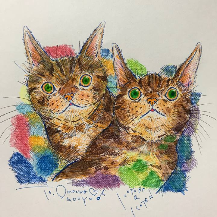 30f18938 be30 4948 ba03 a941ca4110f3 1665357114252