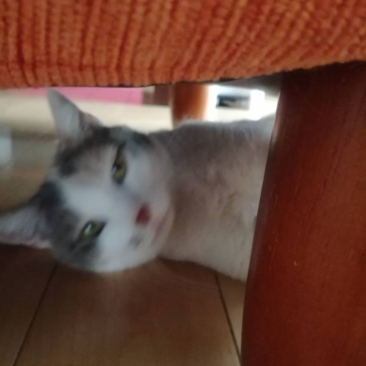 30f1f924 9882 41af b335 749a1b8a256e 1532345369916