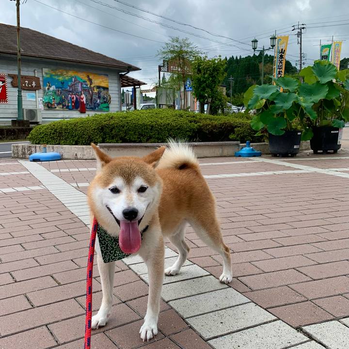 30f250d3 39da 4bb0 bc6a 0fcf93fe5c3b 1661245478100