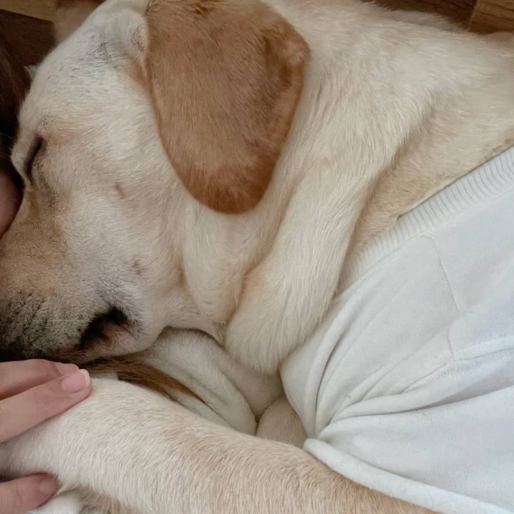 30f25ea0 7e9a 4464 9f16 f9a793006ed7 1639005473476