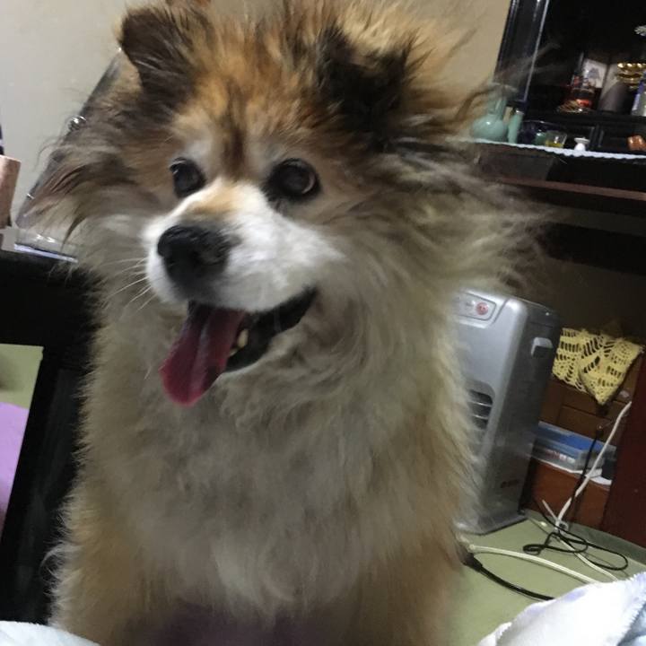 30f267de 6b29 4181 b46a a609d523431a 1615332351671