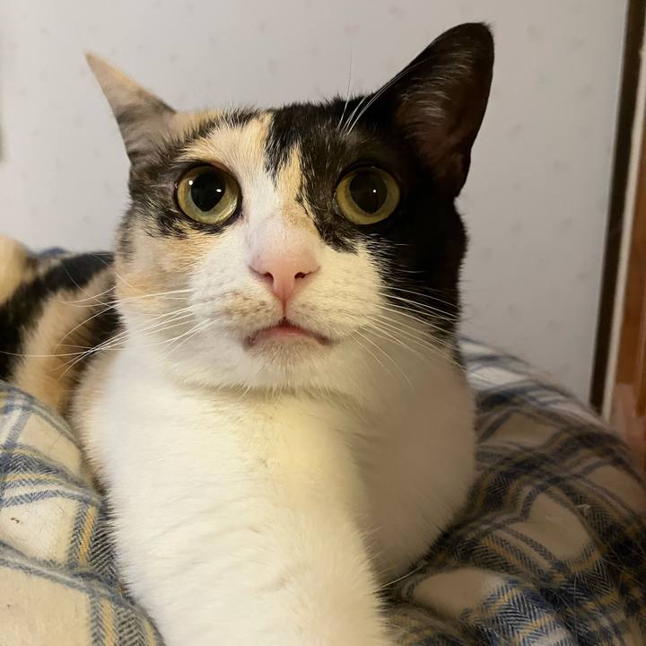 30f26a8b fc01 4413 a305 9b7c1bc6f3cd 1764051361757