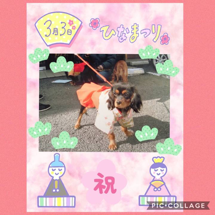 30f27c25 c023 48f6 bd06 a7b0a2e61d72 1551566766568