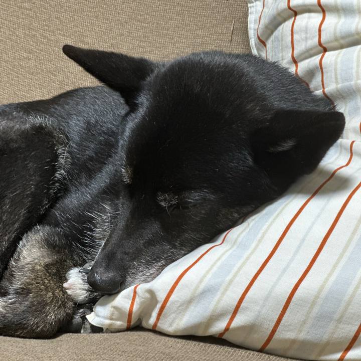 30f27dac 0527 4449 b105 0fdb703da16f 1770871779939