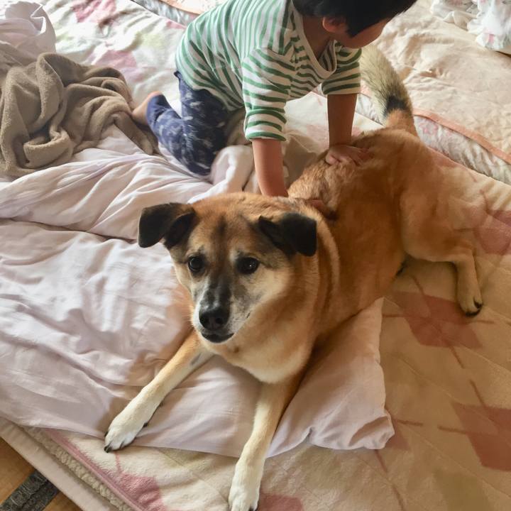 30f2cc5a 6507 4bfe 8199 6c2b9c1a46db 1556797592780