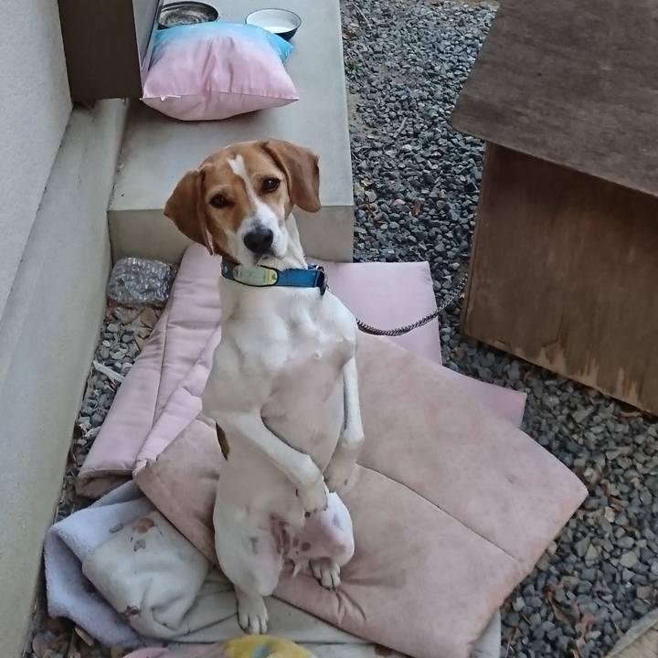 30f2da1b 9d34 412e 8c72 91a3c54c8f69 1575099354581