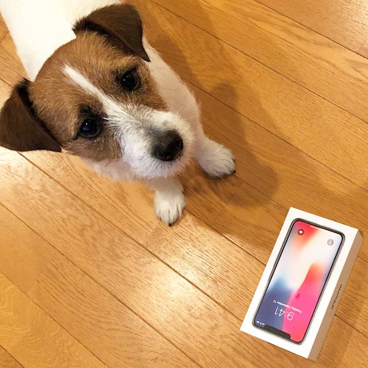 30f2dba9 cd75 4dc2 94fe 9d372449c0c0 1511443745880