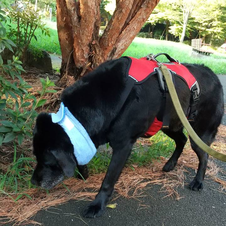 30f2e589 a5a3 433d 9118 84debe60eef6 1692013506608