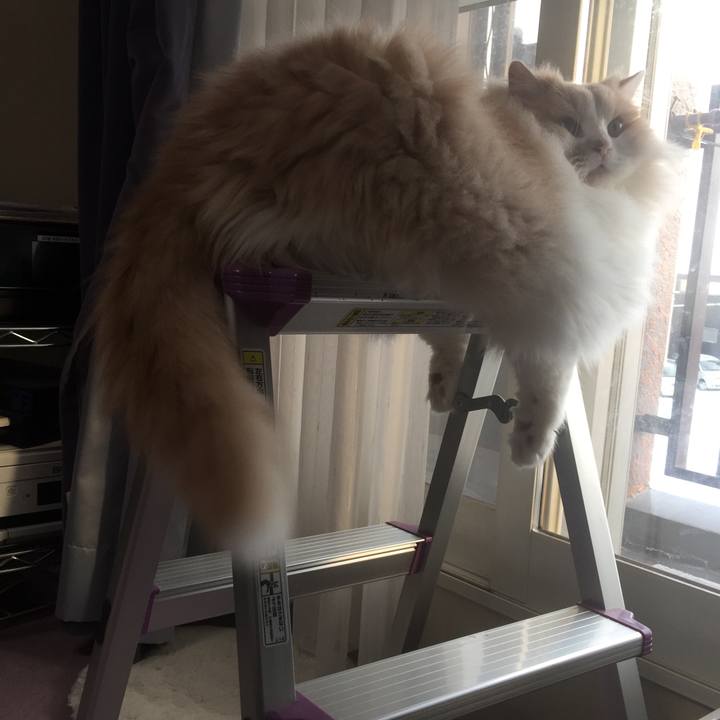 30f30553 0565 4f85 8627 272e012a02e9 1518336463131