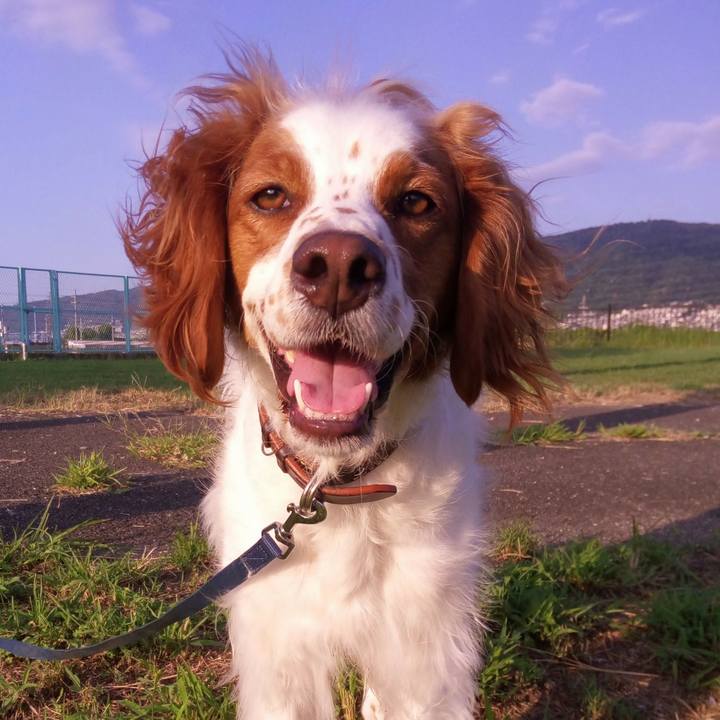 30f335fe 4984 4dc2 b4dc 1f8fb9df4bfc 1543537800682