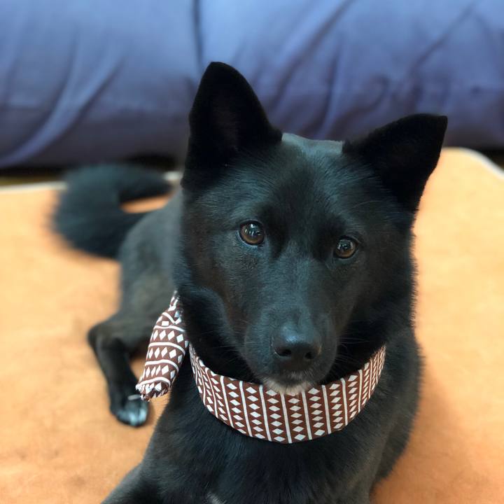 30f33de7 f3e7 4c31 b368 6480cd3fbc4d 1557095111651