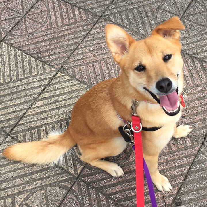 30f36461 7507 42cf 91f6 ffbf8bb1448f 1536808573937