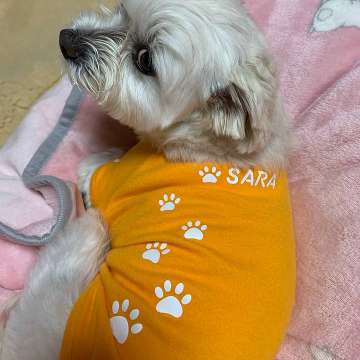 30f3ec63 4066 4db4 91bc bd83b3320553 1604486292851