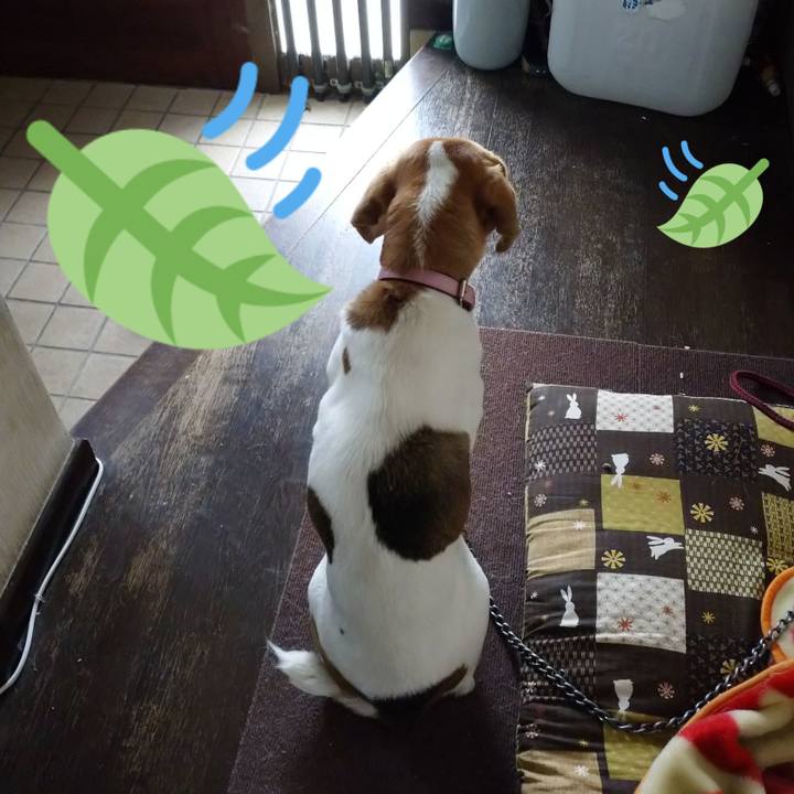 30f3f0bf e9fd 4f1c a84c f4bb81196db7 1579925304797