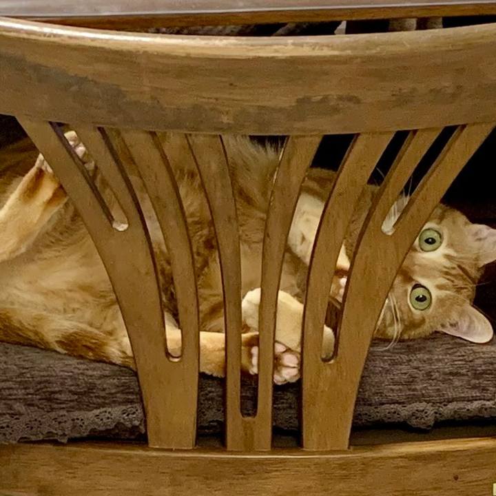 30f3fe9a 2a67 4c15 b832 13cfe8153342 1637792240973