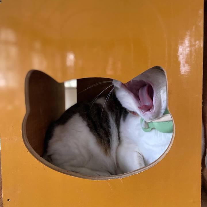 30f42407 7c1d 4651 82df 4107ef876359 1749518709821