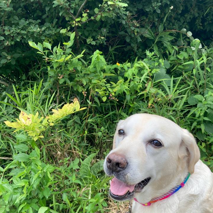 30f43628 e1ab 4fbb a426 3d1794d01dd2 1752298812796