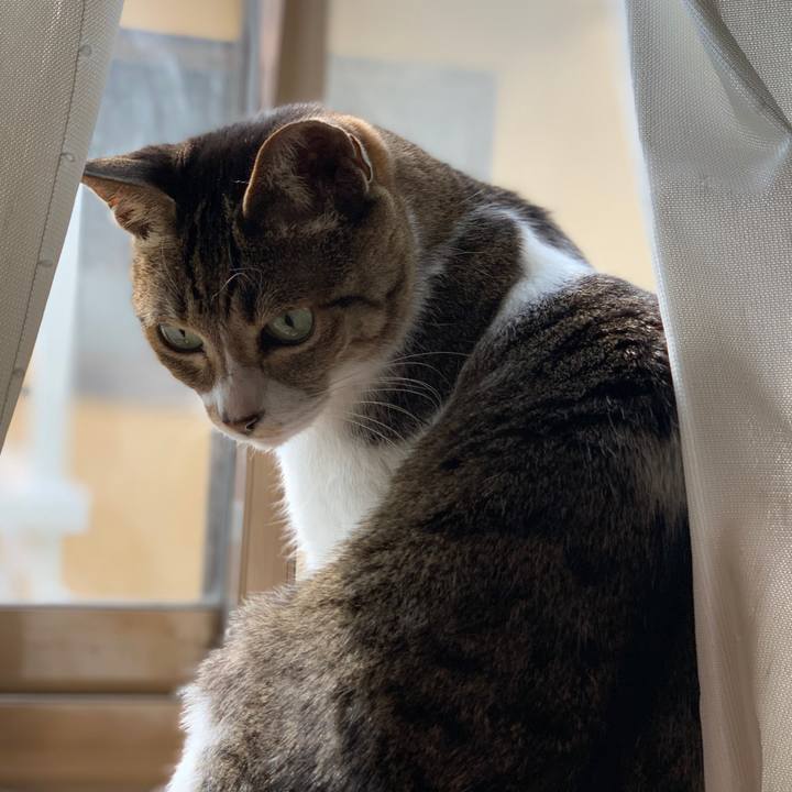 30f4874a d037 4f1e bfb2 61b9ce312ac0 1582161194201