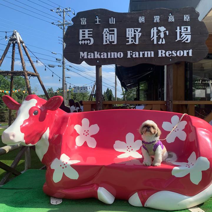 30f495c9 9fac 4ea9 9e1b da1268b7d2fa 1621774924401