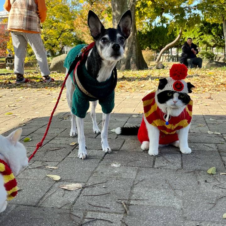 30f49b8f 9669 4c6f b4cc abb411460a8e 1638069075296