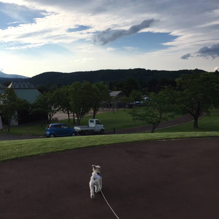 30f4ad9f 2459 4682 b142 beaa029e175e 1530362198582