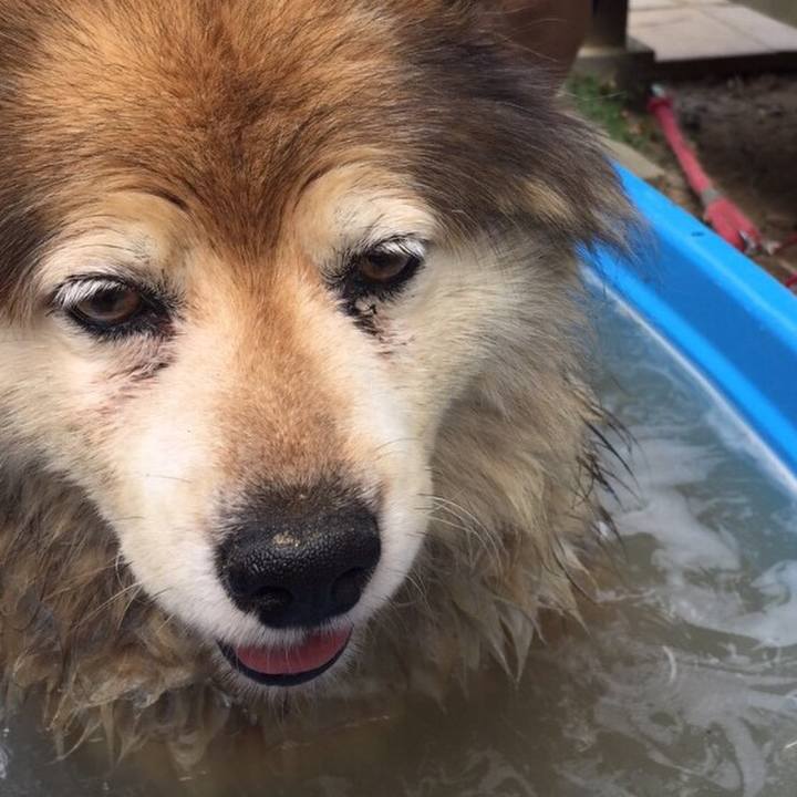 30f4b2b3 cc60 4df6 8dd5 e9b3963f72dd 1610616668204