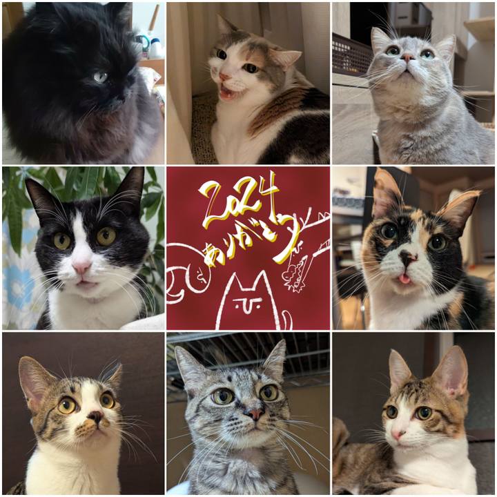 30f4c6ea 43d0 4e93 885f 855fd00d1c02 1735561924439