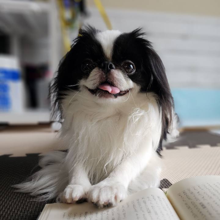 30f4d0c1 0e70 43f7 b7e6 5c989b15306e 1688813942108