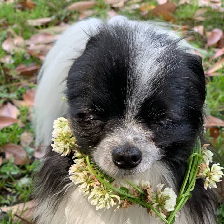 30f54d15 b527 4a76 a6b8 584e1f2ba624 1560257790754