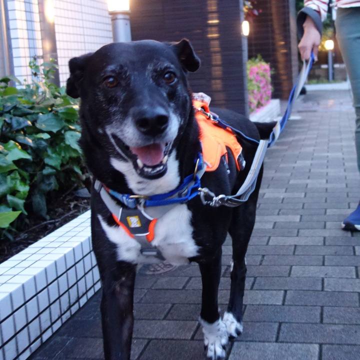 30f58517 cd10 45b8 a708 f37360329004 1747479442980