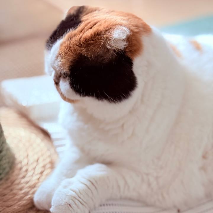 30f589f9 8629 400d b1b3 0aece3f87c81 1752184882864