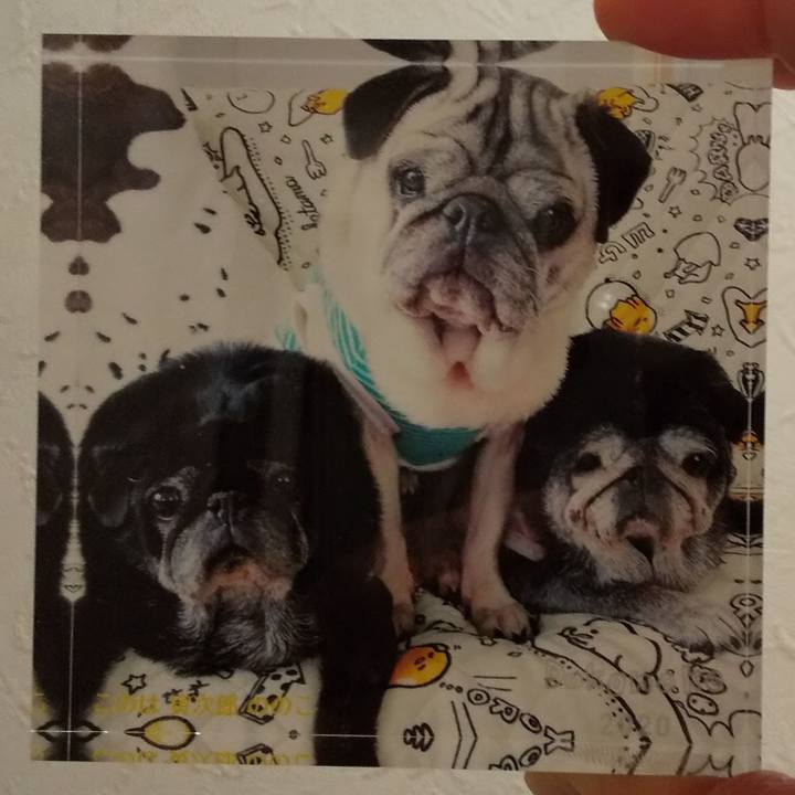 30f58f97 d2a9 4dd8 a8f2 8182ce70b8ef 1587653750071