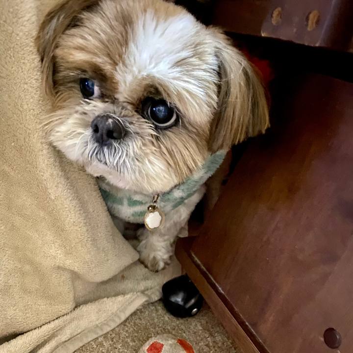 30f5921a 1750 4b65 9b07 9ac5ab43ca31 1611830926174