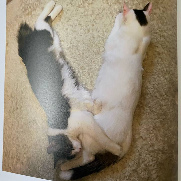 30f607e4 8d24 4829 b8ee d8d4d9fd4575 1663543201530