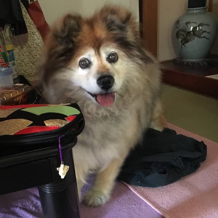 30f60983 9bb9 47cf a890 442d50510f5a 1602426139886